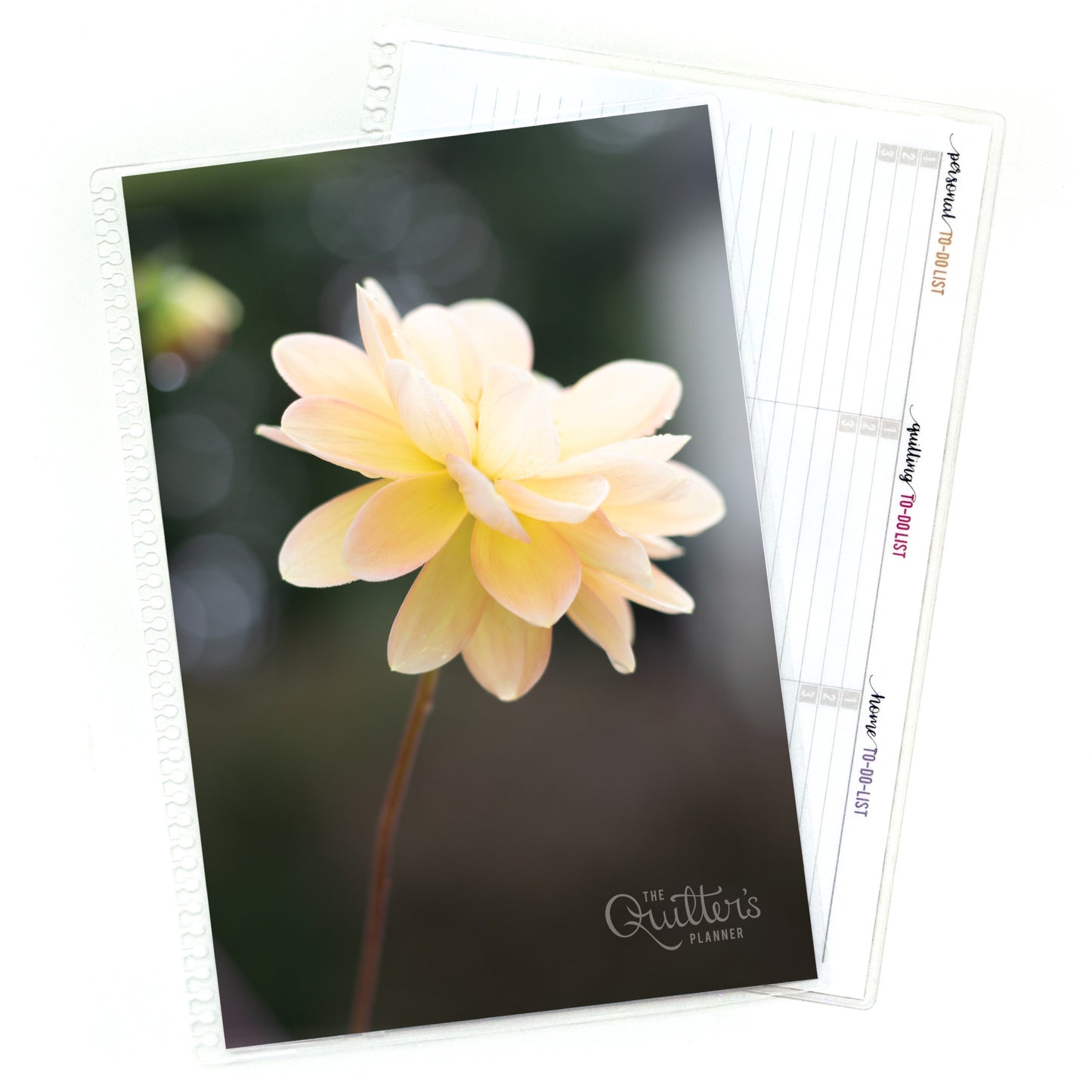 White Dahlia Covers